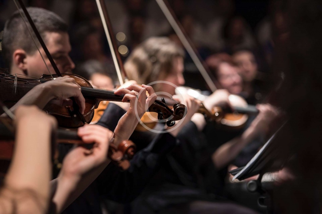 Violoncello Blog 12 Copyright 1024x683